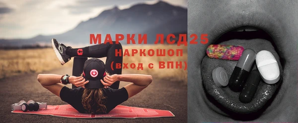 гидра Березники