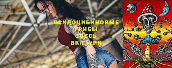 сатива Домодедово