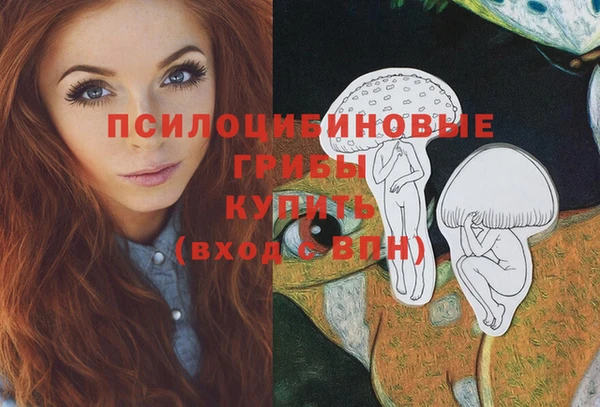 сатива Домодедово