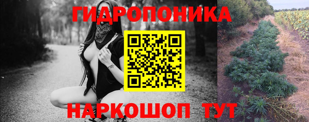 Конопля план  Бошки Шишки семена  Канабис Ganja  Балабаново 